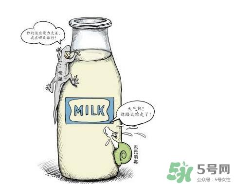 巴氏奶可以加热吗？巴氏奶常温能放多久