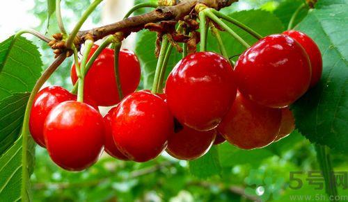 产妇能吃樱桃吗？产妇吃樱桃好不好？