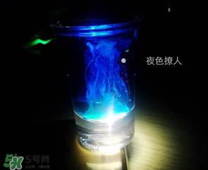 僵尸鸡尾酒配方是什么？僵尸鸡尾酒配方做法