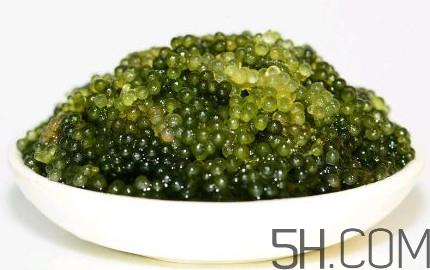 海葡萄多少钱一斤？海葡萄是什么味道