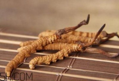 ​冬虫夏草怎么保存？冬虫夏草怎么挑选