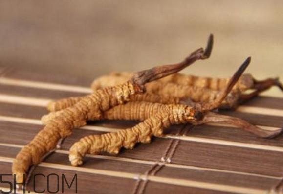 冬虫夏草怎么保存？冬虫夏草怎么挑选