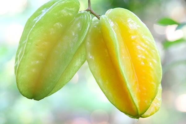 杨桃一天吃多少个 少吃为宜