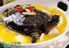 甲鱼汤孕妇能喝吗？甲鱼汤孕妇可以喝吗