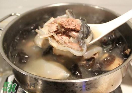 甲鱼汤孕妇能喝吗？甲鱼汤孕妇可以喝吗