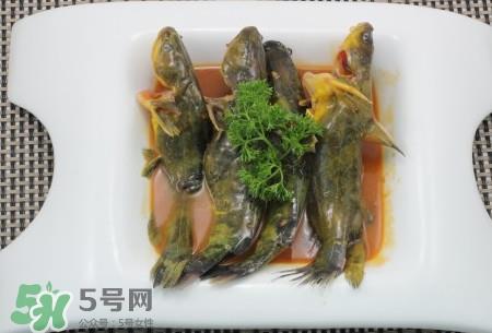 嘎鱼不适合什么人吃?黄颡鱼不适合什么人吃 嘎鱼不适合什么人吃?黄颡鱼不适合什么人吃