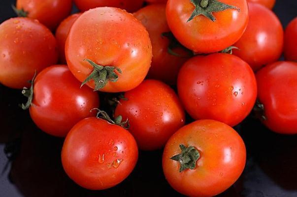 西红柿能和羊肉一起吃吗 西红柿能和西瓜一起吃吗 西红柿能和羊肉一起吃吗 西红柿能和西瓜一起吃吗