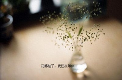 ​落泪带字伤感图片之心碎