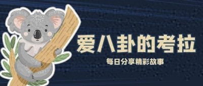 ​被人遗忘的中国猛犬！比藏獒更凶猛的藏狮，是藏民心中的“神犬”