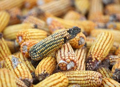 ​夺命三凶：藏在你家的三种致癌物大揭秘！