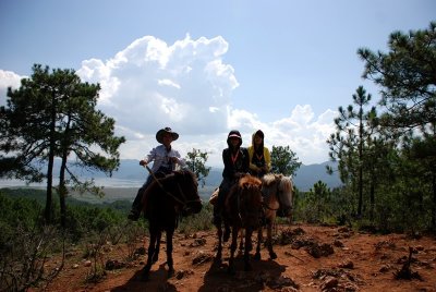 ​丽江拉市海景区旅游攻略，丽江最乱景区避雷指南