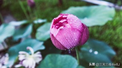 ​七月八月九月好运将至，喜气迎门，三星高照，时来逆袭！