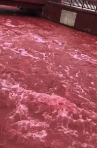 ​四川松潘通报“岷江川主寺段河水呈异常红色”：无毒，饮用水未受影响