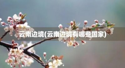 ​云南边境(云南边境有哪些国家)