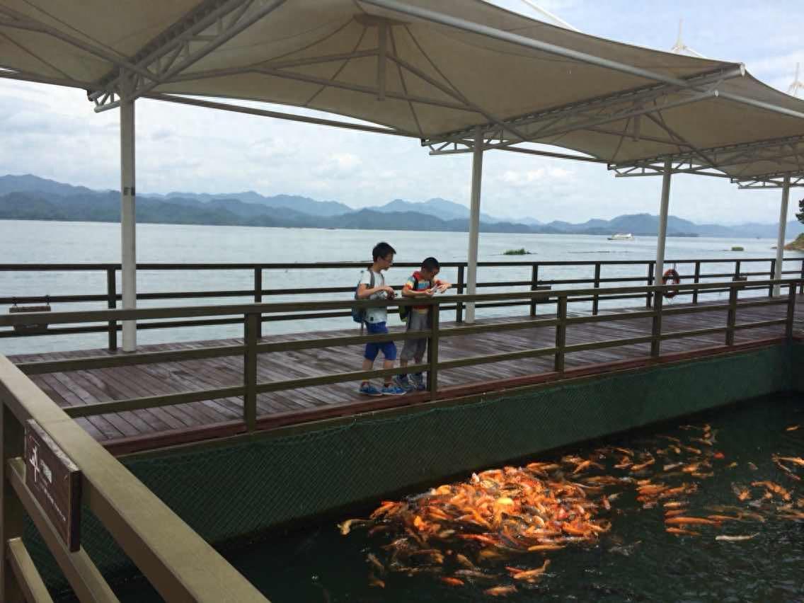 千岛湖中心湖区位于浙江省杭州西郊的淳安县境内