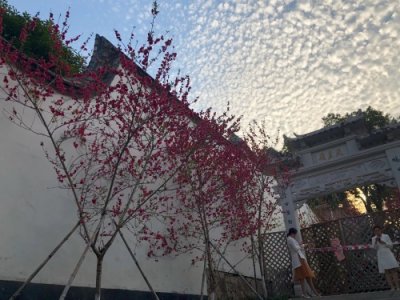 ​为什么进出门不能踩踏门槛