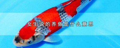 ​女生说养鱼是什么意思? 女生说在养鱼是什么意思