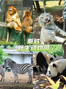 ​西安周边1日游合集 | 当天往返，轻松亲子游！