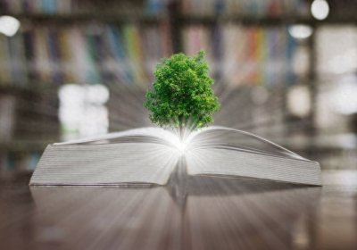 ​你知道头条号怎么赚取收益吗？今天教大家四种方法