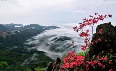 ​芹水之畔   蕲艾之都    古镇蕲州