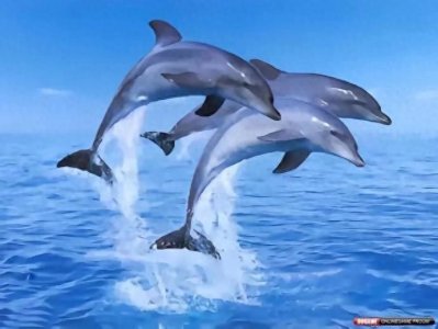 ​未来发展好的行业有哪些？