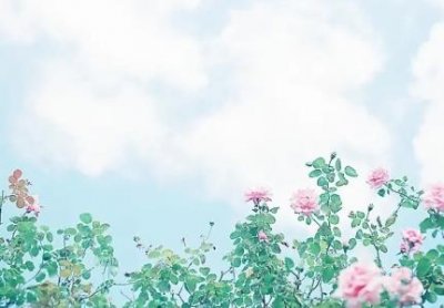 ​知识科普：租房时带不走的东西不要买租房的注意事项 有哪些