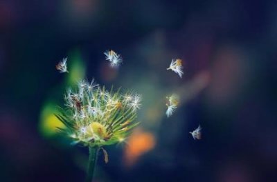 ​商牛插座好还是公牛插座好创牛插座和公牛哪个好？