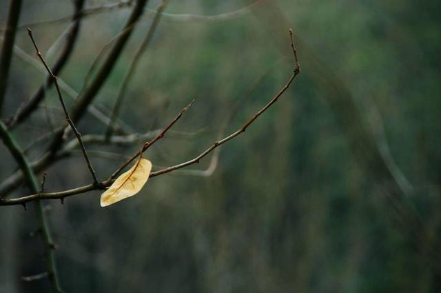 形容世态炎凉人心难测的诗句（一首词写尽人情冷暖）(6)
