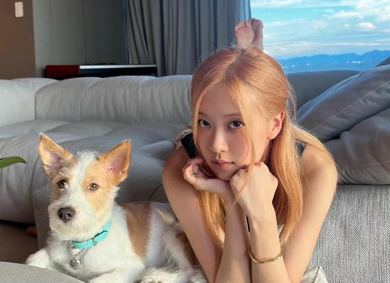 结婚必备条件是怎样的 结婚必备条件是怎样的