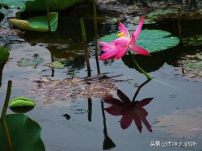 ​小楼吹彻玉笙寒，南唐中主最有名的一首词，乱世家国，沉郁之美