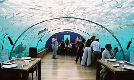 马尔代夫在哪个国家，马尔代夫是在哪个国家什么语言？图17