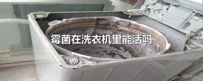 ​霉菌在洗衣机里能活吗能杀死吗 霉菌会在洗衣机里生存吗