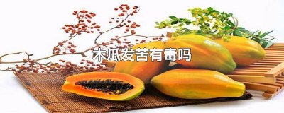 ​木瓜有点苦是坏了吗有毒吗能吃吗 木瓜有点苦是坏了吗有毒吗图片