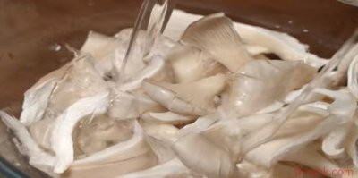 ​炸蘑菇怎么做不软还酥脆 炸鲜蘑怎么做酥脆