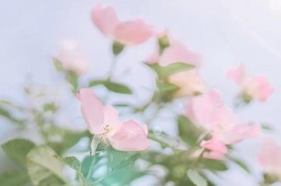 ​任正非有几段婚史 任正非一共有三任妻子