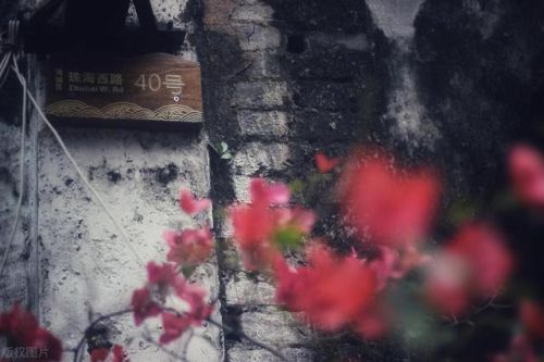 十八年的岁月感悟(十八年的经历感悟)-第1张图片-