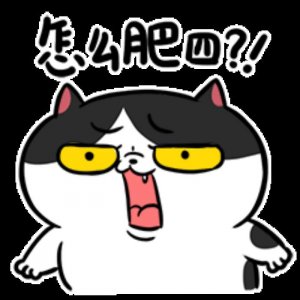 ​游人如织是什么意思（让我真正领略到了什么叫游人如织）