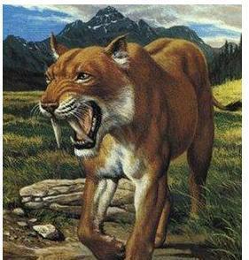 海贼王四皇凯多军团实力曝光: “三灾”背后还有高手?