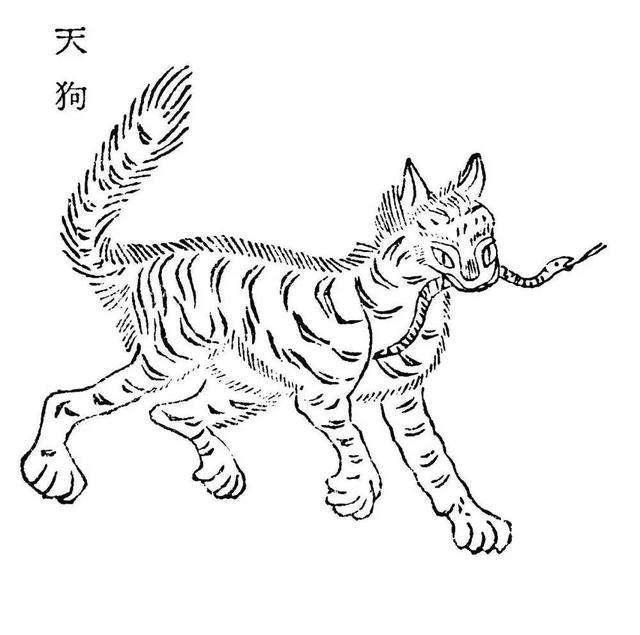 《阴阳师》妖怪趣谈之大天狗：历史传说中的文化结晶