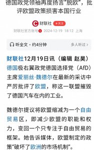 ​中德关系的展望