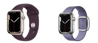 ​世界上最昂贵的10 只手表