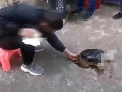 ​男子手指被鳄龟咬住痛哭一个多小时，惨不忍睹！