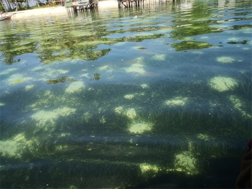 世界上最后一只海洋游牧民族——巴瑶族