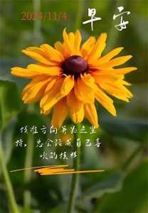 ​最新正能量励志文案图片，简短且震撼人的内心世界