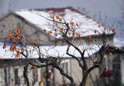 ​农村里，那些偷人的事（七）