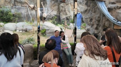 ​香港海洋公园大熊猫收费团首发，参加者称性价比高可慢慢打卡