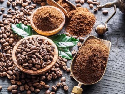 ​猫屎咖啡的起源和发展历程怎样的？