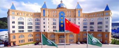 ​央企大揭秘——中国林业集团