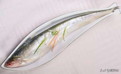 ​细说刀鱼！刀鱼为啥这么贵