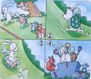 ​二年级看图写话——新龟兔赛跑